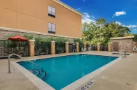 Comfort Suites Old Town Spring
