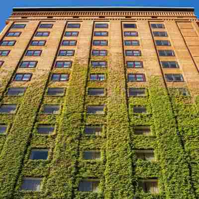 Sofitel Buenos Aires Recoleta Hotel Exterior