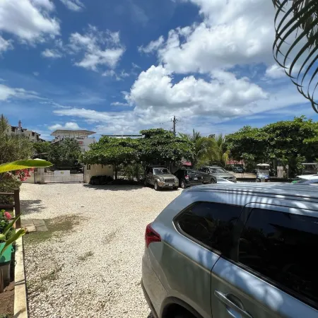 Tropical Gardens