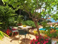 Hotel Villa Belvedere Hotels near Spisone Beach