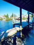 Delightful 3-bedroom house in Gibsonton with WiFi access