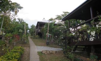 Windy Willow's