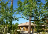 Domaine du Ferret Restaurant & Spa Hôtels à : Lège-Cap-Ferret