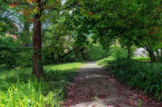 L'Orangerie di Villa Mayer - MyHomeInComo