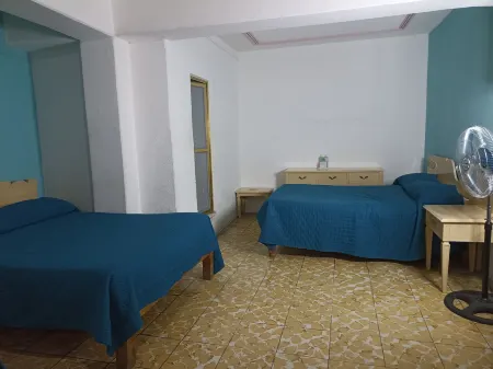 Hotel Viena Отели в г. Ирапуато