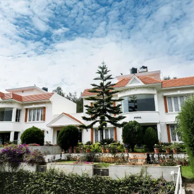 Twin Tree Hotels near Dolphin's Nose