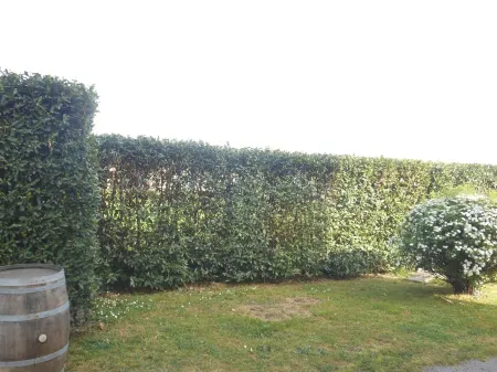 B&B la Corte Отели рядом с достопримечательностью «Parrocchia Dei Ss. Maria Assunta e Jacopo Maggiore di Lammari»