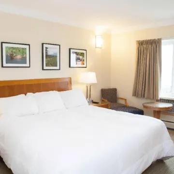 Twin Pine Inn & Suites