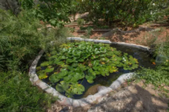 Family Getaway in Marathon by Ghh