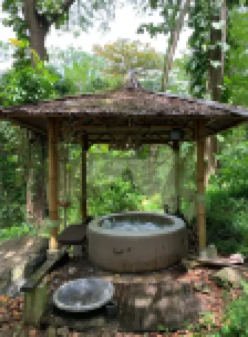 Ecolodge Martinique