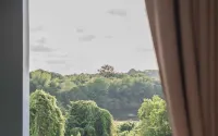 Am2Tree - Mountain view