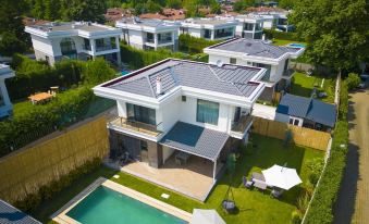 New Balturk Villas Sapanca