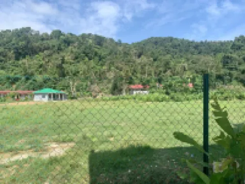 เดอะแซสซี เฮาส์ โรงแรมใน