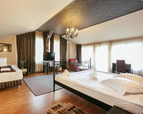 Pensiunea Vidalis Hotels near Daffodils' Park