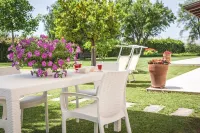 B&B Samilù between Salerno, Amalfi and Paestum Hotels in Battipaglia