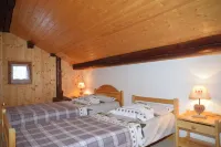 Gite in a traditional farmhouse. Terrace with swimming pool. Pets allowed Hotels in Hauteluce