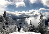 Mountain Haven Retreat/Lake/biking