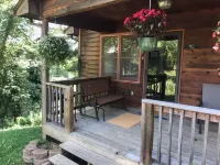 "Cabin in the City" available for your pleasure. Walk to Downtown Burnsville.