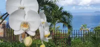 Breathtaking Island Views, Excellent Proximity to Major Beaches and More