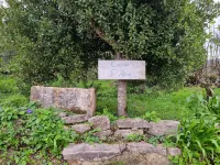 Casa da Ti Alzira - a refuge at the foot of the mountain with a touch of tradition Hotels in Evora De Alcobaca