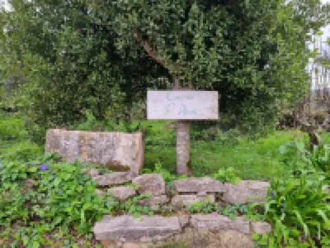 Casa da Ti Alzira - a refuge at the foot of the mountain with a touch of tradition