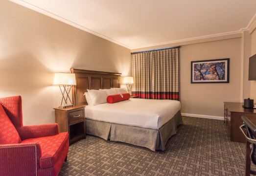 비들 호텔 & 컨퍼런스 센터 이미지