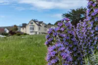 Headlands Inn Bed and Breakfast Hotels in Mendocino