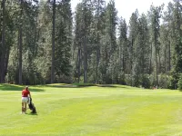 Western Traveller Motel Hotels in Kootenay Boundary