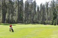 Western Traveller Motel Hotels in Kootenay Boundary