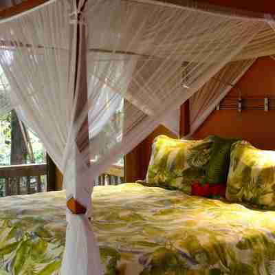 At the Craters Edge Rooms