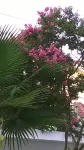 Işıl Suit Apart Otel - vue sur la montagne