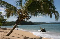 Hotel El Colibri Rojo - Cabinas - le Colibri Rouge