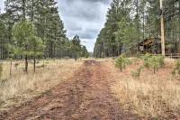 Pinetop Escape: Charming Mountain Condo w/ Balcony - Apartments