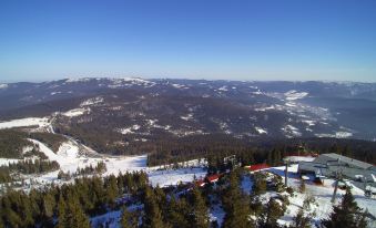 Hotel Bayerischer Wald