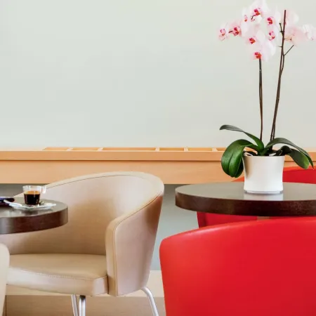 Ibis Senlis