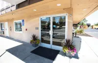 Budget Inn by 101 Bus from Downtown فنادق في Rohnert Park