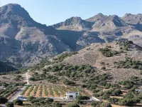 Pelagria Villa, a Sun-Kissed Path to the Beach