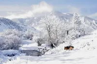 Iconic Log Cabin At The Yellowstone River Ranch