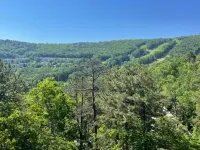 Hot Tub and Breathtaking Ski Slope Views - Spectacular Tree-Top Retreat