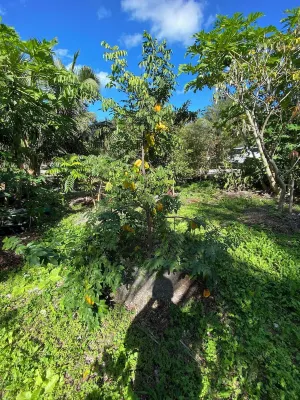 Ocean View 4/2 Estate with Private Pool 15 minutes from Key West