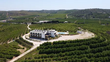 Orange Grove Residence Отели в г. Sao Bartolomeu de Messines