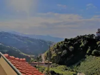 Benk Villa, Camara de Lobos, Madeira Estreito de Camara de Lobos 호텔