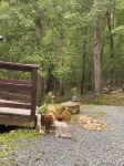 Mountain top cabin in the heart of the Uwharrie National Forest!