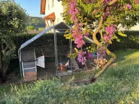Cozy vacation apartment with sun terrace Hotels in Schlitz
