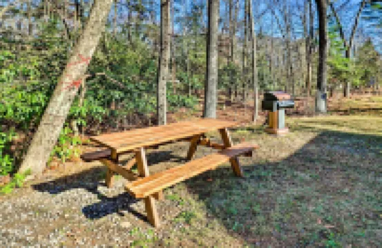 Cozy Tannersville Gem - Ski, Hike, Explore!