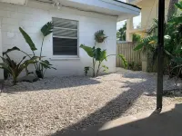 The Jungle Bird- walking distance to the ocean