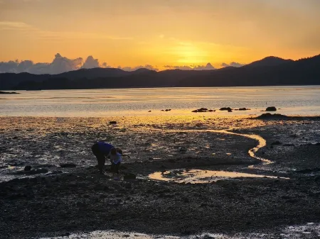Seosan Pine Sea Pension