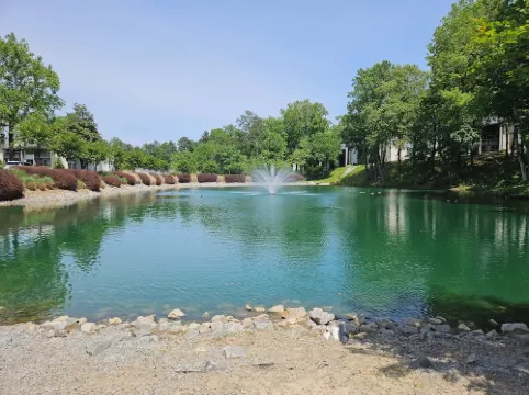 A peaceful Lake view by The Battery