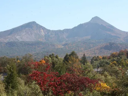 Petit Hotel Hoshi No Shizuku Отели в г. Китасиобара