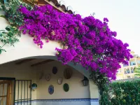 Mirall - House In Xabia/javea. Free Wifi - Kitchens